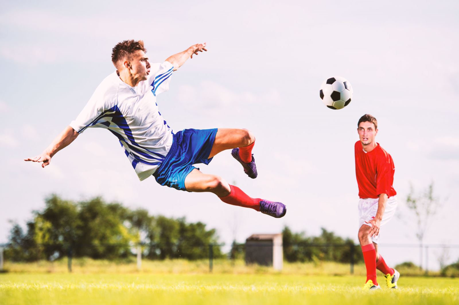 的篮球天才 的篮球天才