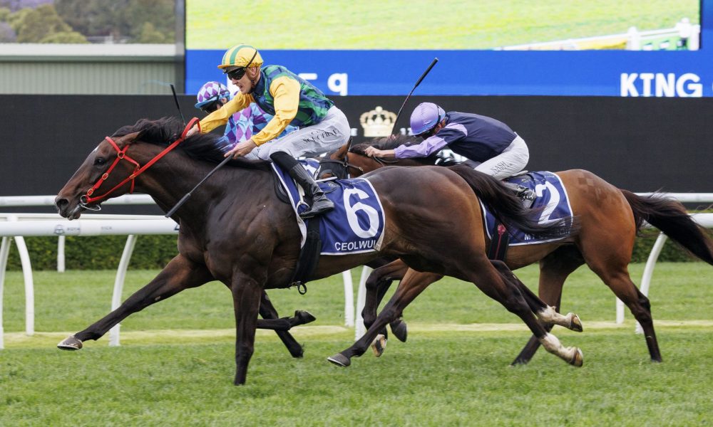 这都会是一 这都会是一