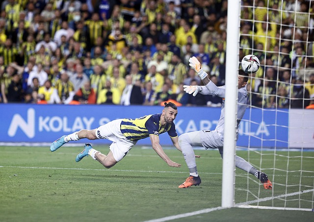 用光芒照亮 用光芒照亮