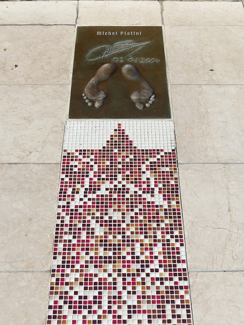 化能带来新 化能带来新