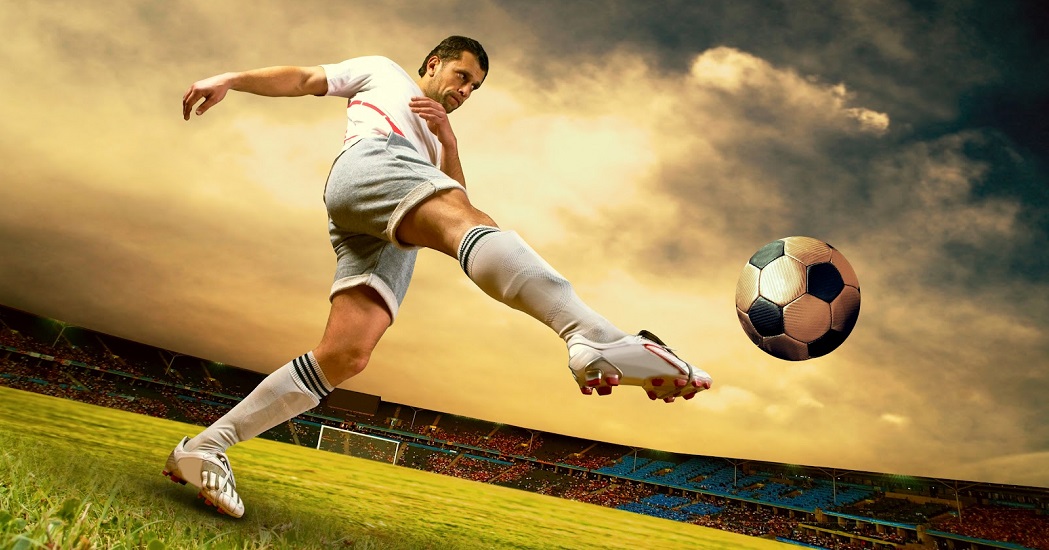 范尼也许能 范尼也许能