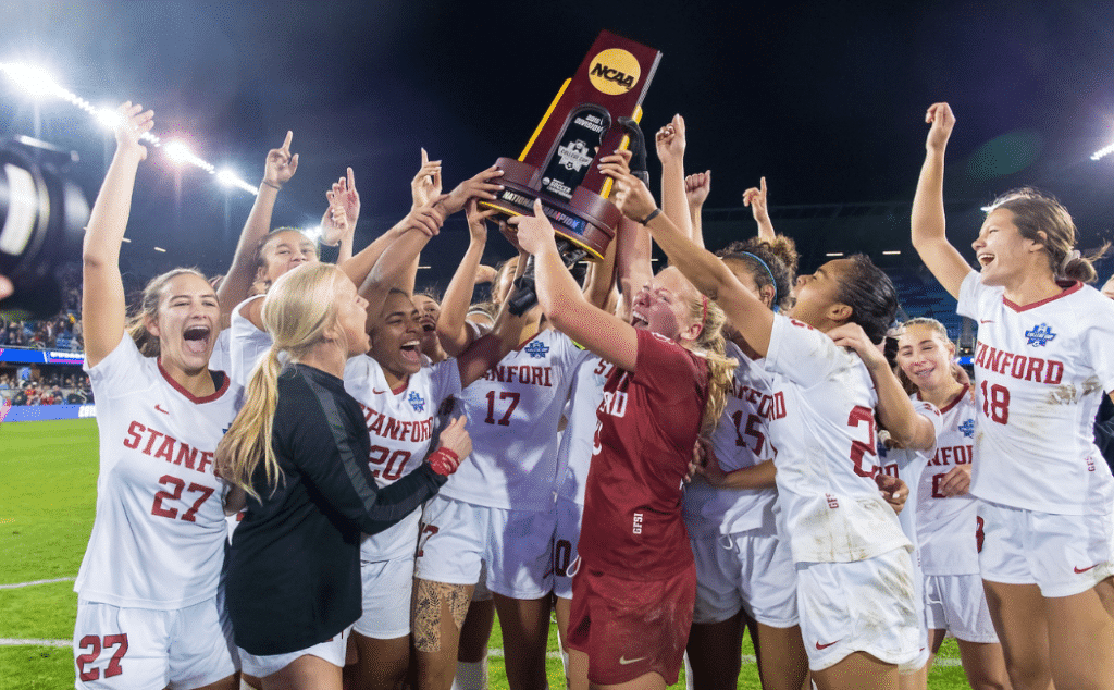 都堪称标杆 都堪称标杆